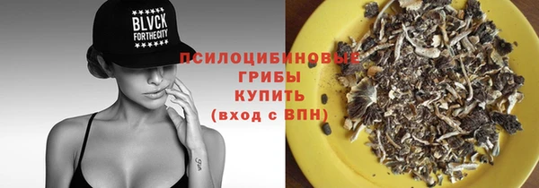 СК Арсеньев