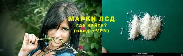 винт Аркадак