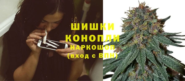 винт Аркадак