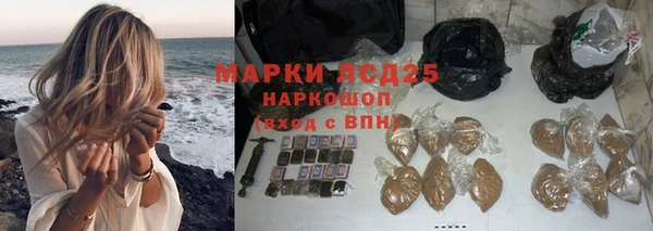 винт Аркадак