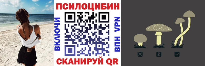 как найти закладки  Радужный  Галлюциногенные грибы Magic Shrooms 