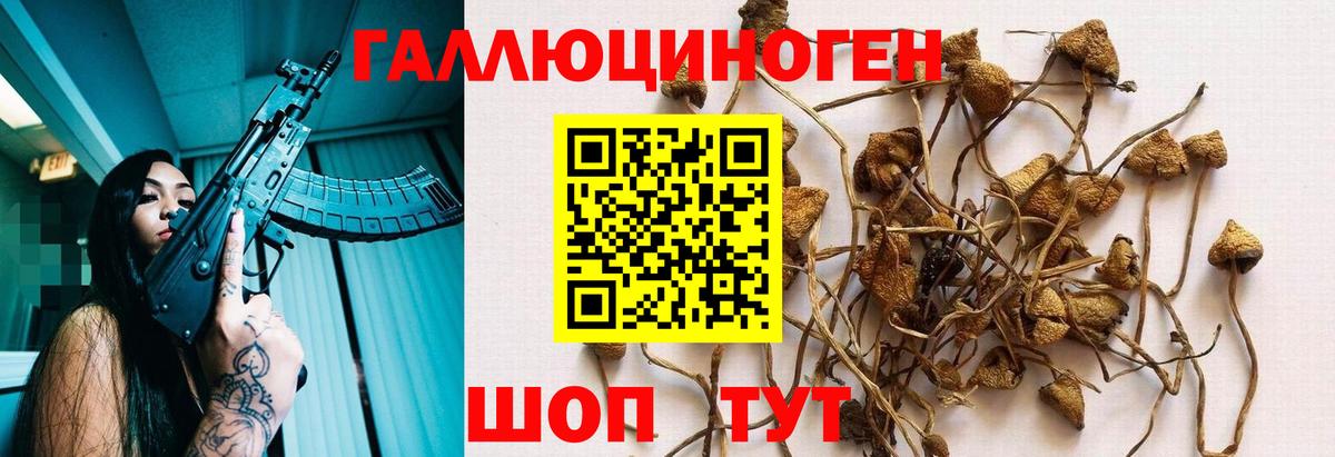 Псилоцибиновые грибы Cubensis Радужный